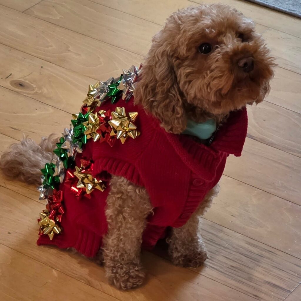 Instagram post from chef.cheryl. This post is in position 14.