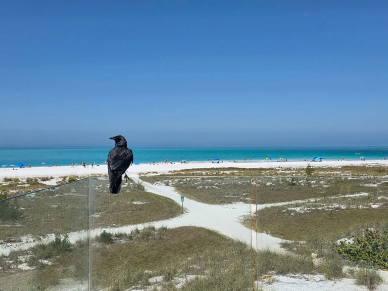 Instagram post from chef.cheryl. This post is in position 19.