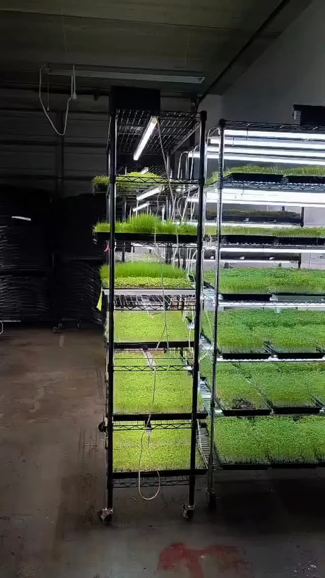 Instagram post from chef.cheryl. This post is in position 18.