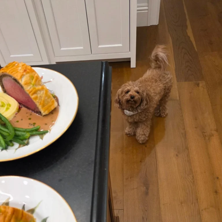 Instagram post from chef.cheryl. This post is in position 8.